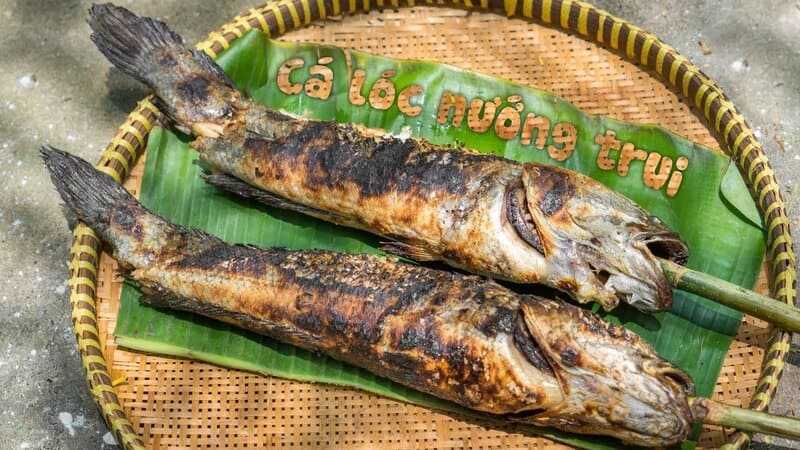 Cá lóc nướng trui, một món ăn dân dã đậm chất miền Tây